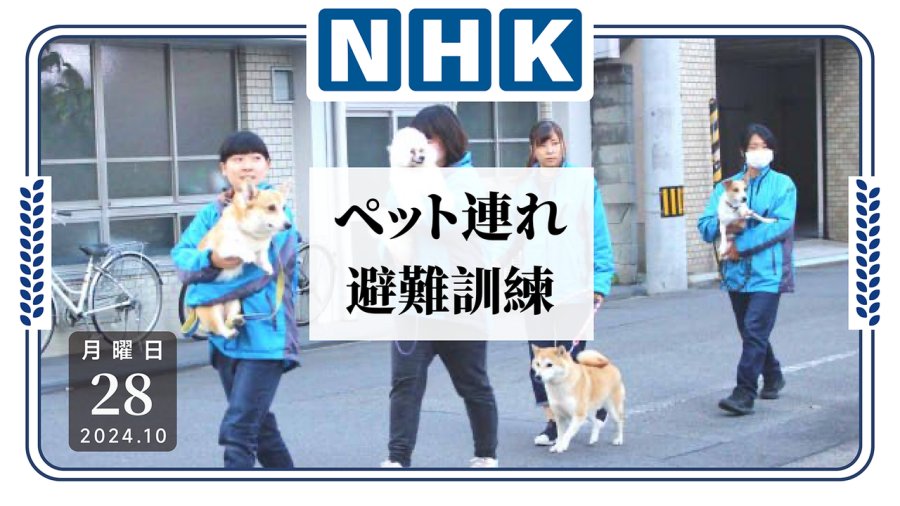 「一个都不能少！东京都开展携宠物避难演练」-moji辞書