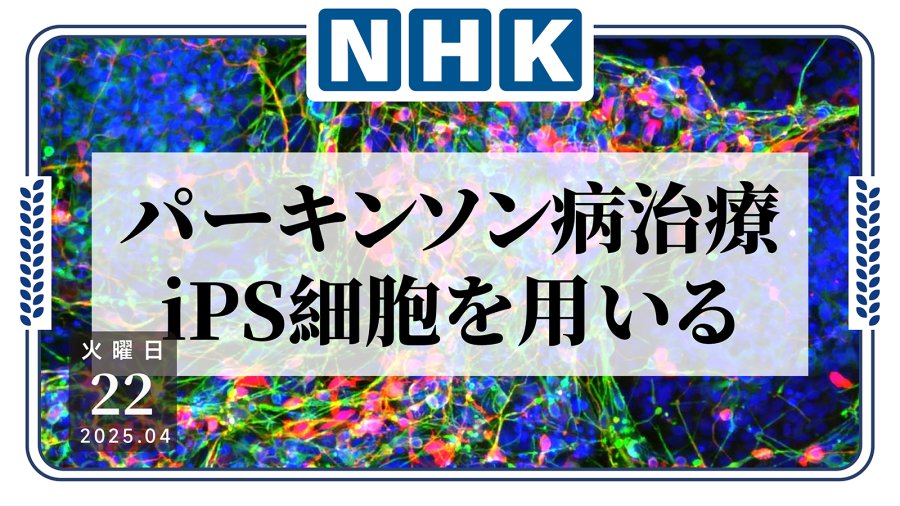 日语阅读 - 往脑内注射细胞？京都大学证明干细胞疗法对帕金森病的有效性 - moji辞書